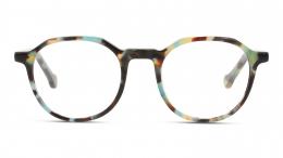 UNOFFICIAL Kunststoff Panto Havana/Grün Brille online; Brillengestell; Brillenfassung; Glasses